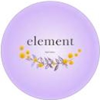 Element Nail Salon logo